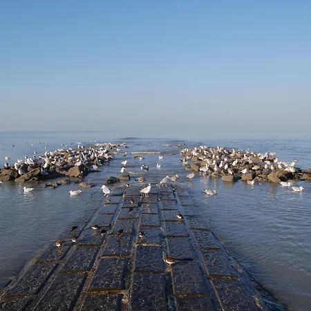 In Near The Sea, Cleaning Included *