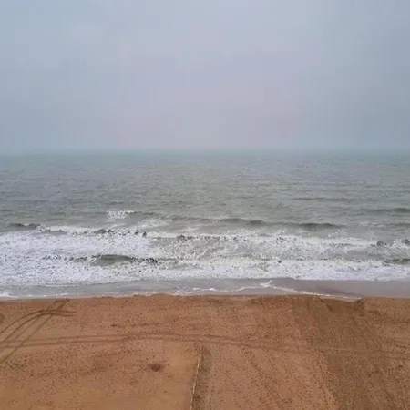In Near The Sea, Cleaning Included * 코크시데