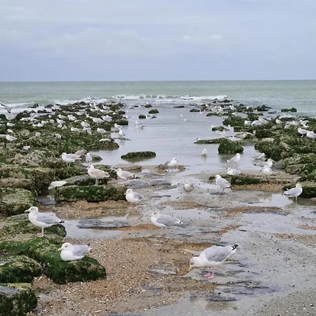 In Near The Sea, Cleaning Included Apartment