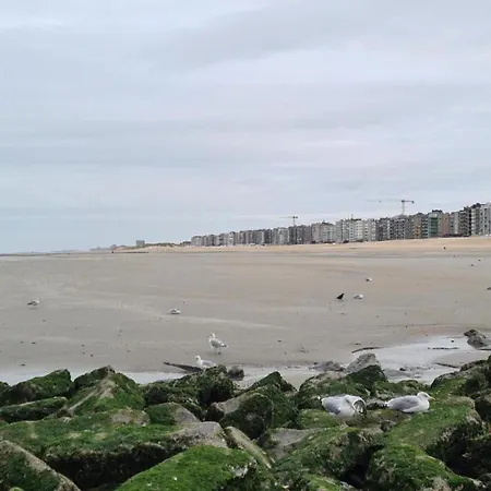 In Near The Sea, Cleaning Included * Koksijde