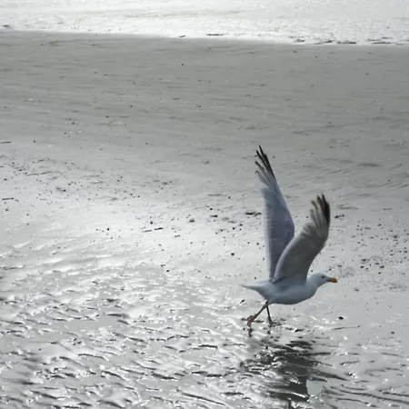 In Near The Sea, Cleaning Included *